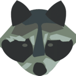 raccoon raccoon