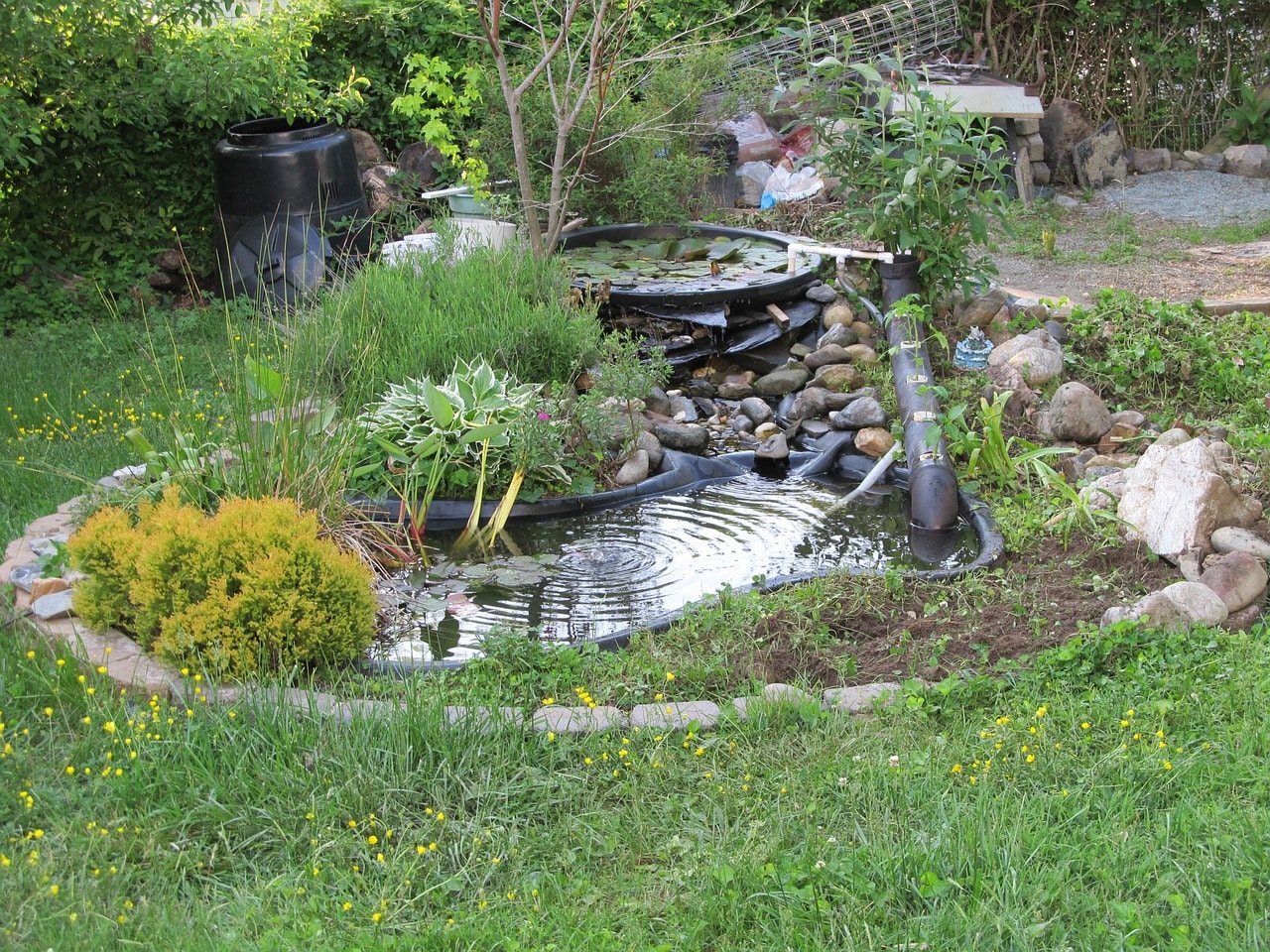 Diy Build A Pond For Wildlife, How To Make Your Own Small Garden Pond