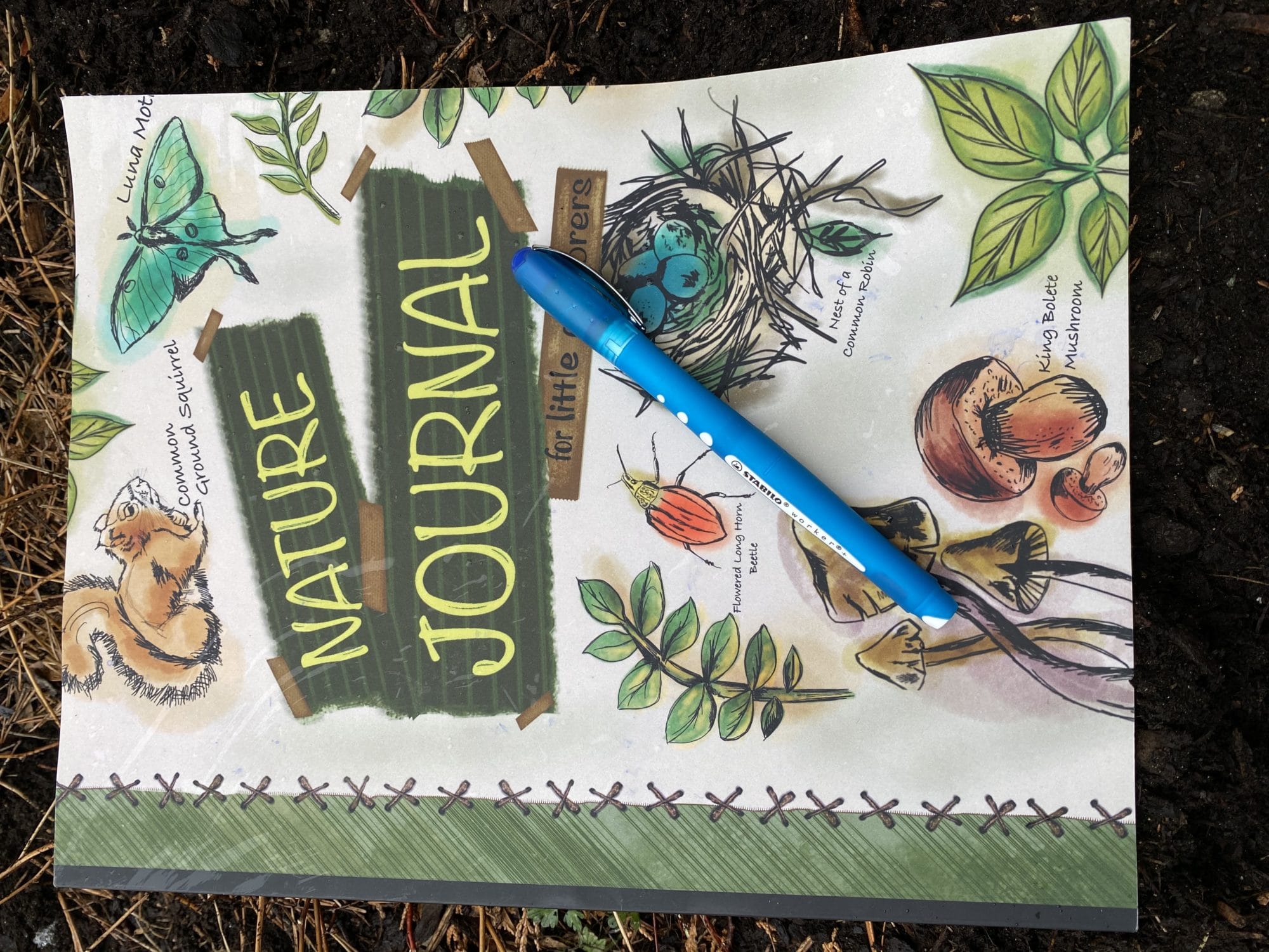 How to Make a Nature Journal for Kids