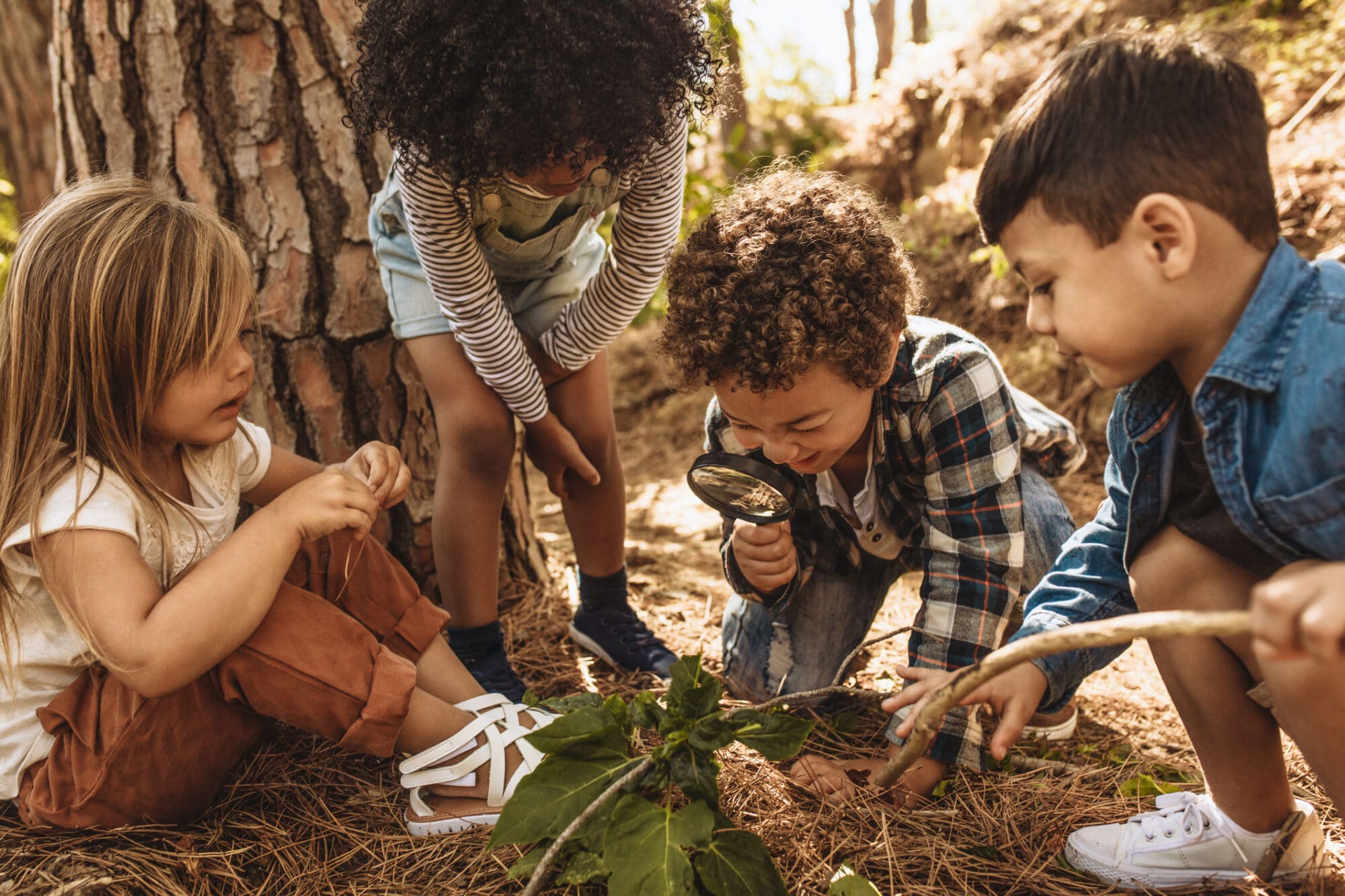 Guide to the Growing World of Nature-Based Learning - Childhood By