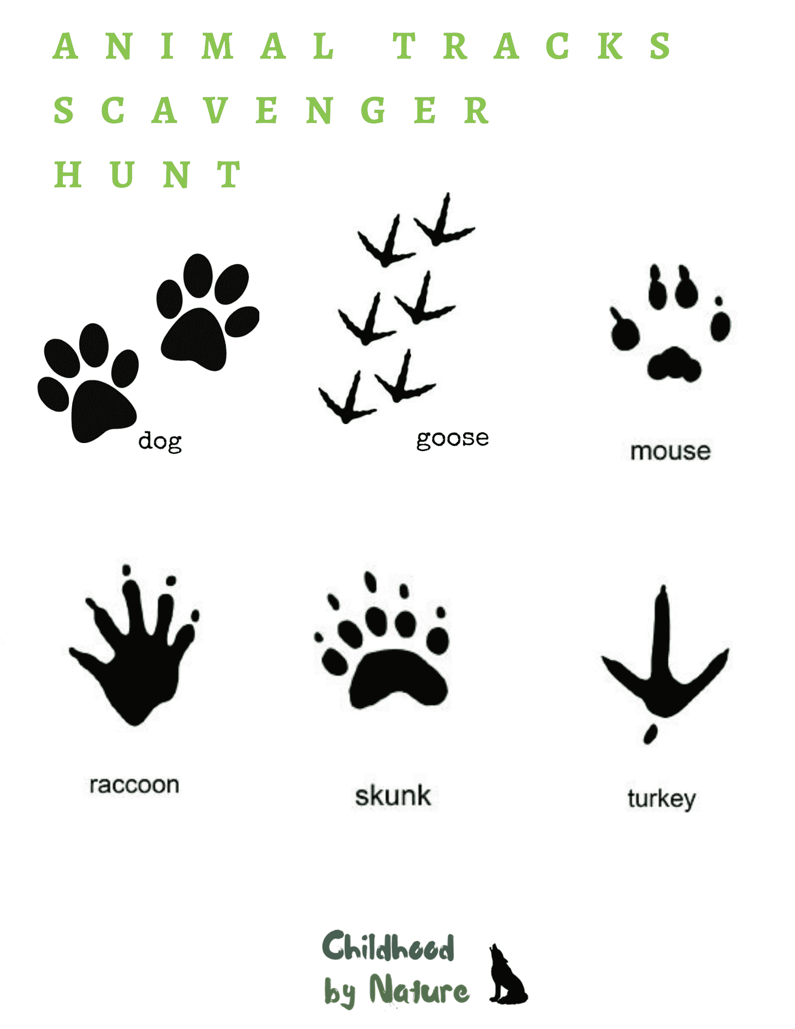 9,600+ Dog Paw Print Stock Photos, Pictures & Royalty-Free Images - iStock
